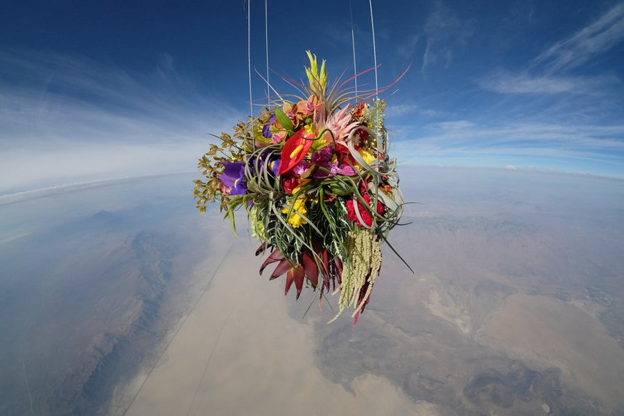 makoto-azuma-exobiotanica-botanical-space-flight-4