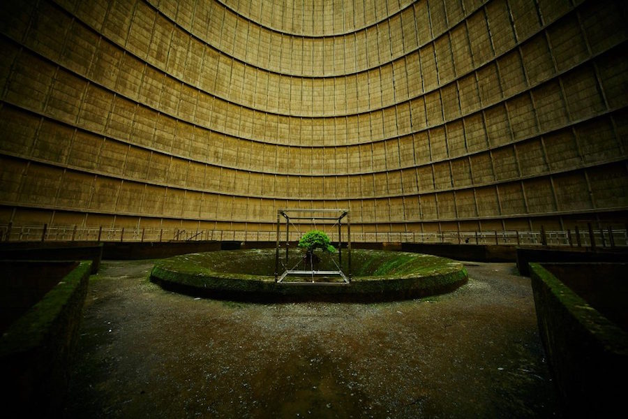 shiki-bonsai-power-station-belgium-im-3