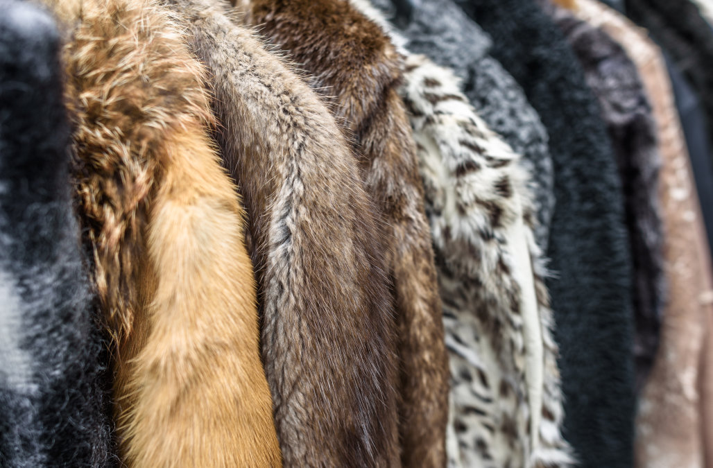 A row of vintage coats made of animal fur